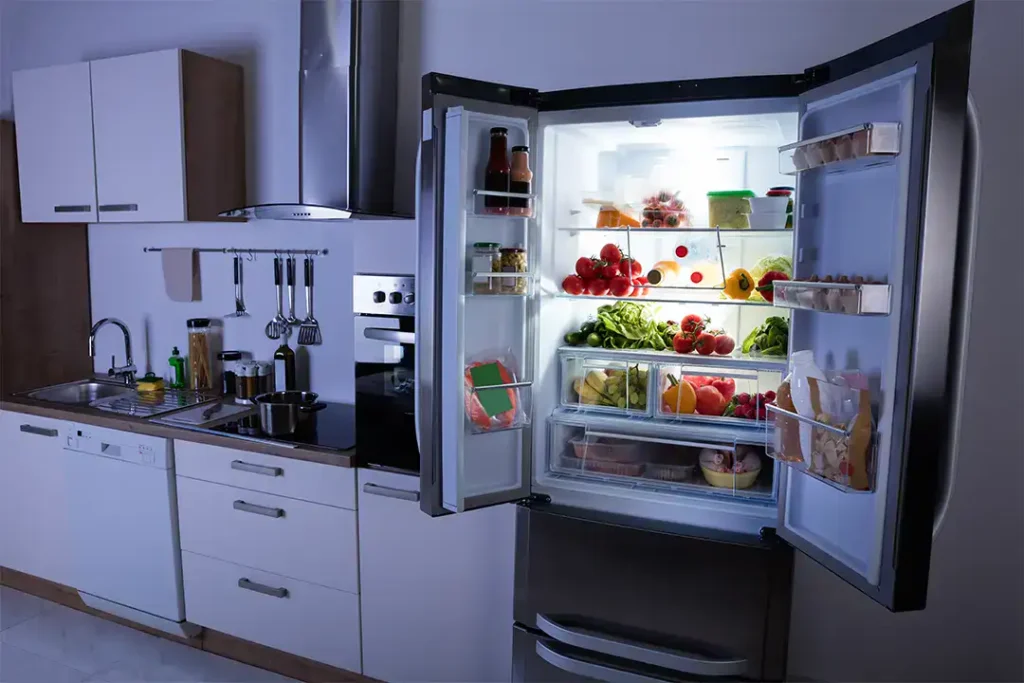fridge-3 (2) fridge being open